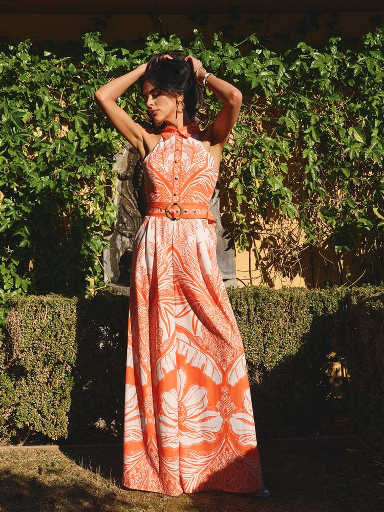 SP423726_Orange_5363405